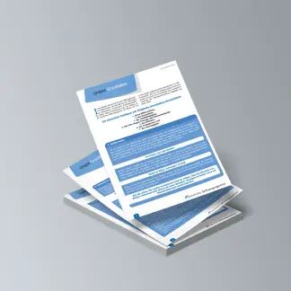 PDF - Die Grundsätze der Deutschen Stiftungsagentur