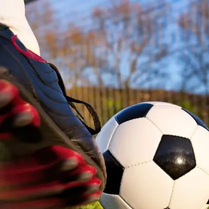 Deutsche Stiftungsagentur - Leistungen der Deutschen Stiftungsagentur