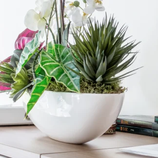 Die Stiftungsagentur in Neuss